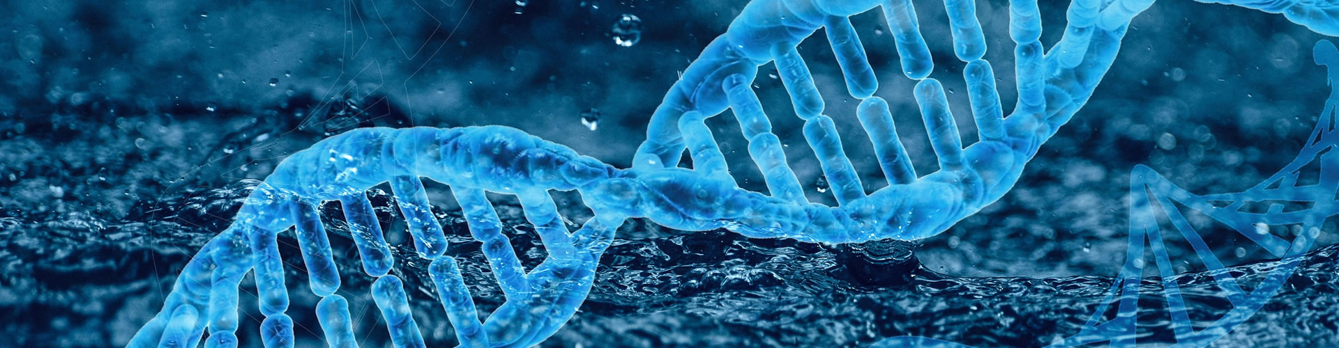 企業(yè)動(dòng)態(tài)