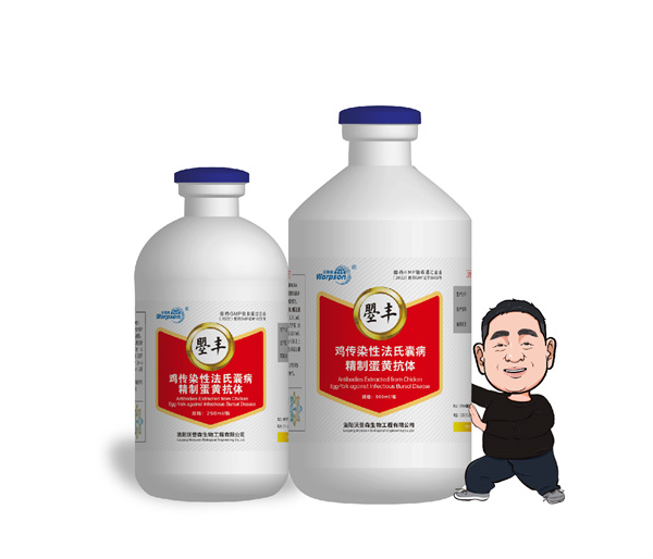 雞傳染性法氏囊病精制蛋黃抗體