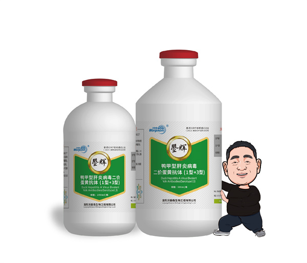 鴨甲型肝炎病毒二價蛋黃抗體 (1型+3型)